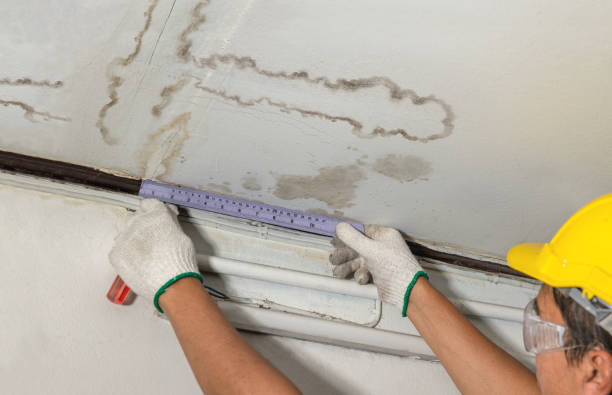 Reliable Water Damage contractor in Whitehall, MI by Water Damage Irwin